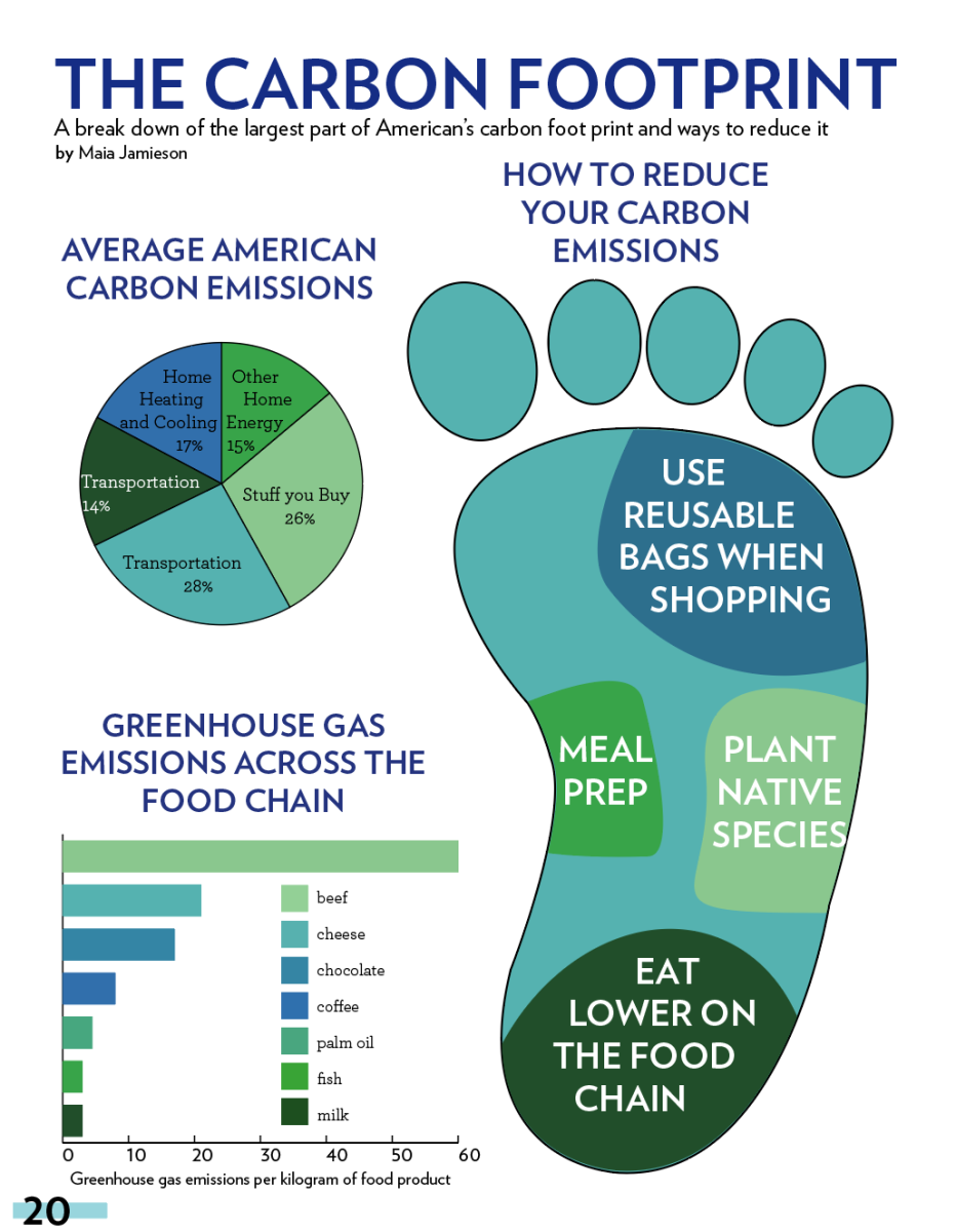The Carbon Footprint